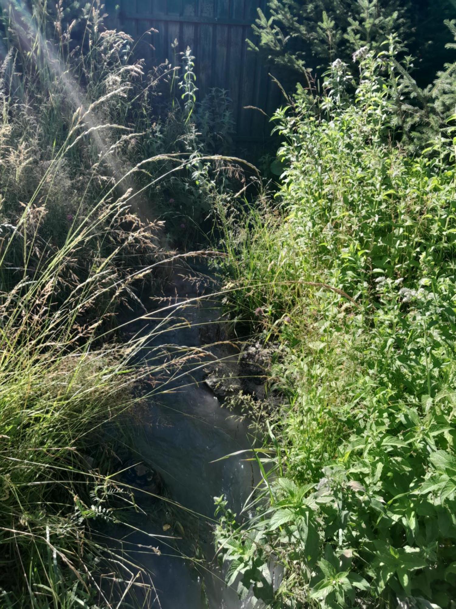 Waterfall In The Yard Karakol Esterno foto