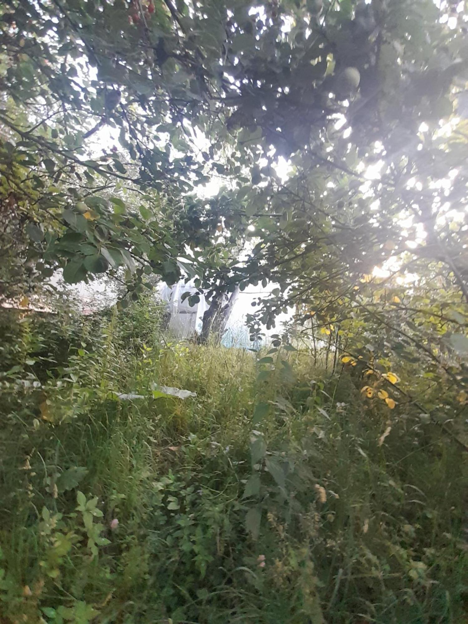 Waterfall In The Yard Karakol Esterno foto
